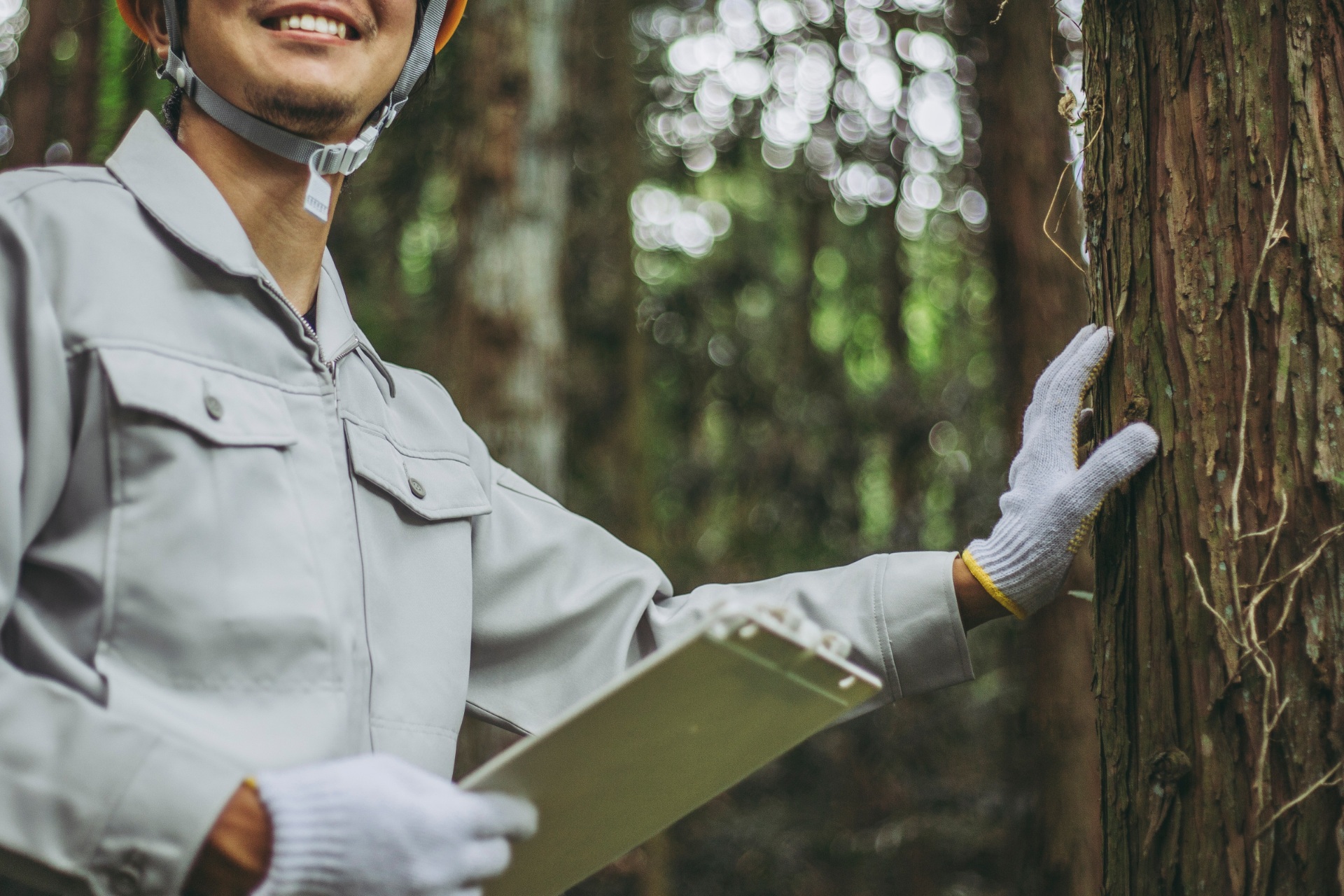 AdobeStock_153034217