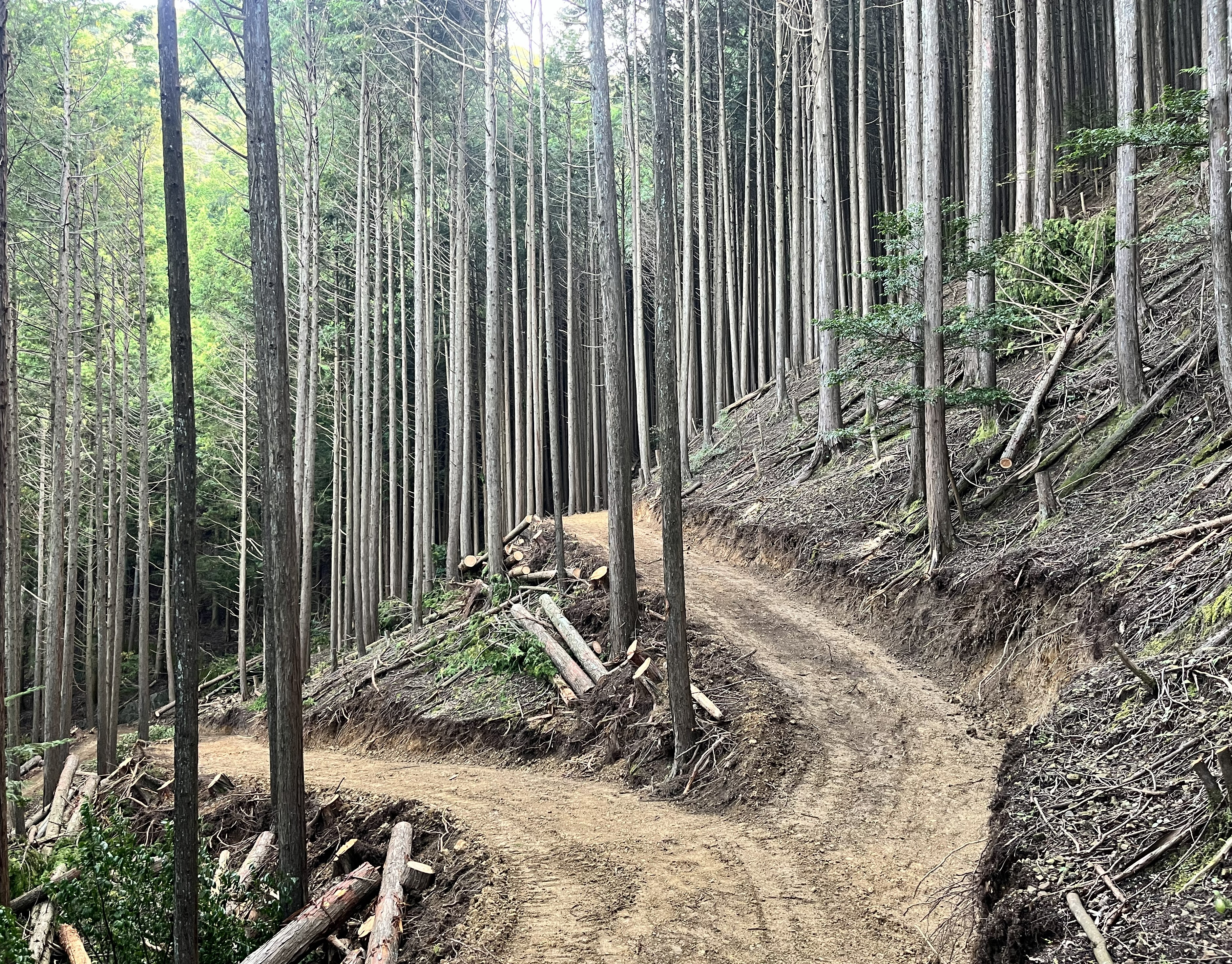 地域活性化への貢献